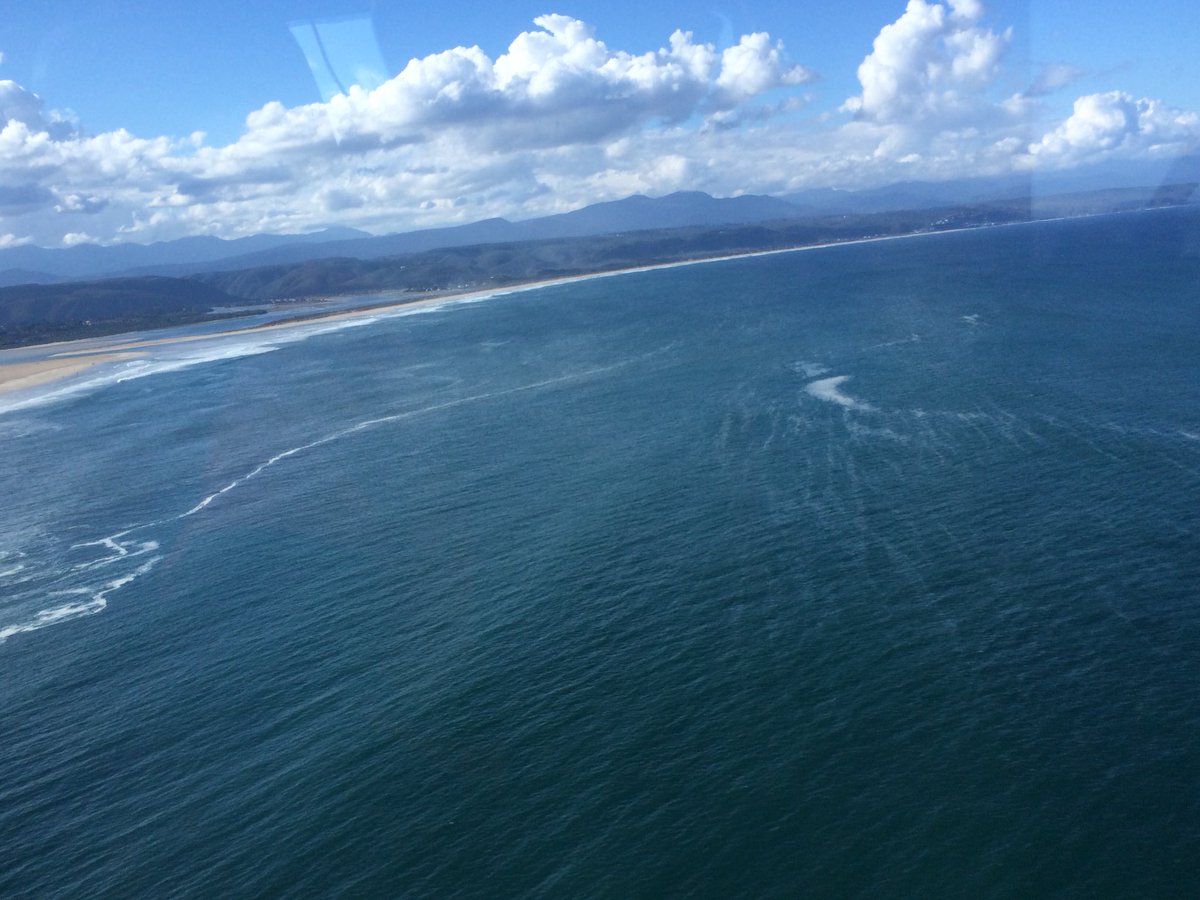HeathGillot's tweet photo. #MercyWing2 crew WSAR extracted injured hiker from #OtterTrail #Tsitsikamma #WhatABeautifulCountry @AIRMERCYSERVICE @WCHEMS https://t.co/hn77v31nsK