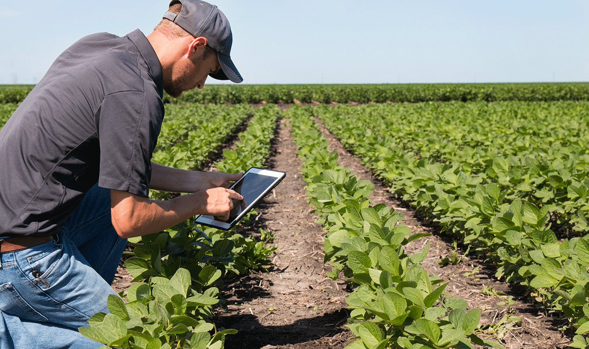 We are in the era of smart farming. Software-define #agriculture can affect everything in the industry from tracking farm vehicle usage to ensuring the right amount of fertilizer or water inputs are being used. @faunasmart takes it a step further using #DNA data for precision 🧬