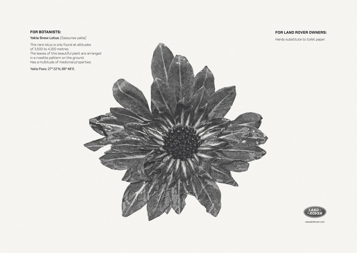 ReadMeLKP's tweet photo. With campaign for Land Rover. https://t.co/i38yFK7fxQ