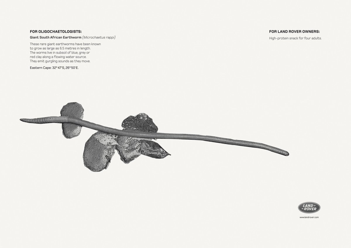 ReadMeLKP's tweet photo. With campaign for Land Rover. https://t.co/i38yFK7fxQ