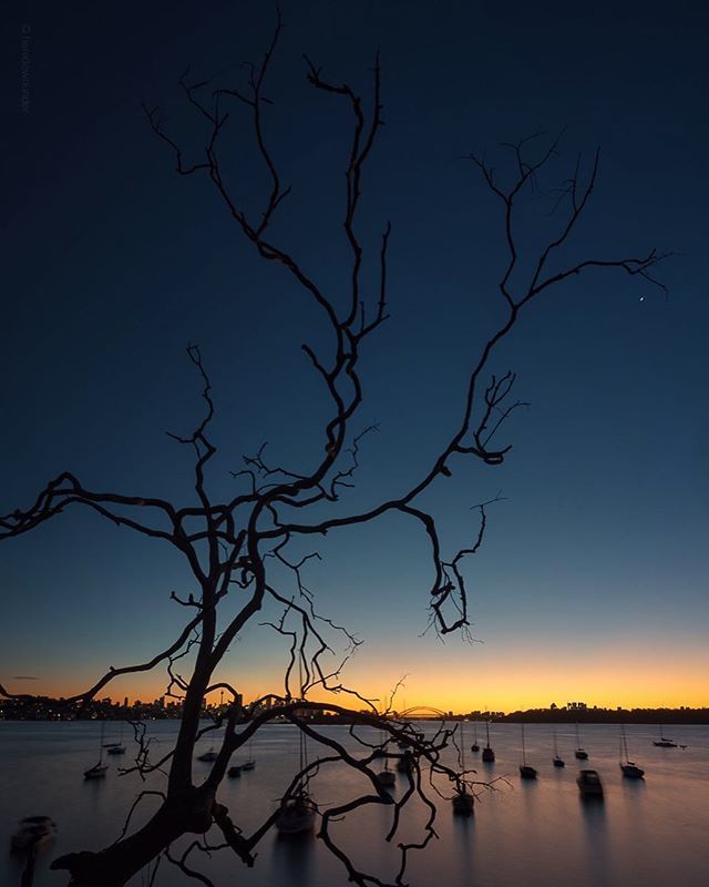Night Burn
.
.
with Venus
.
.
#sydneysunset #sydney #neverstopexploring #australiagram #seeaustralia #ig_australia #iloveaustralia #ilovesydney #wow_australia2018 #uniquesydney #moodygrams #awesomeearth #liveauthentic  #travelawesome #takemetoaustralia #… ift.tt/2AIXVUV