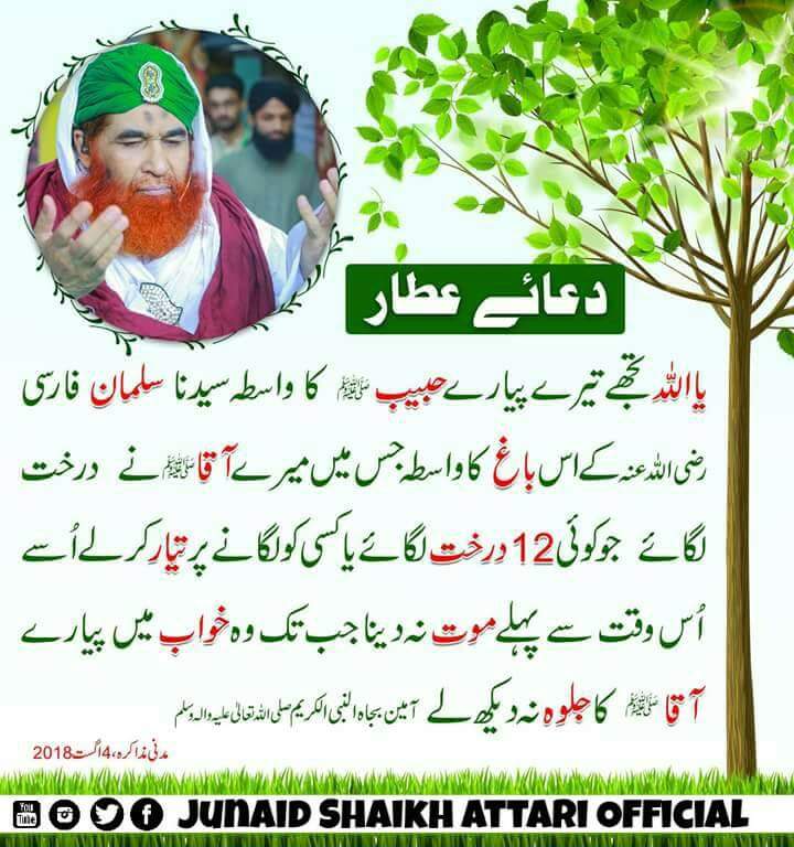 Adnanwali786's tweet image. #BillionTree