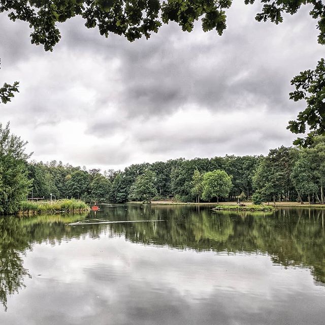 observationalar's tweet photo. #roeivijver #schutterspark #brunssum #limburg #netherlands #followme #oneplus3t #oneplusphotography #onepluslife #shotononeplus #nature #hdr #dutchnature #lake #reflectionpic https://t.co/j7OLXshwAg
