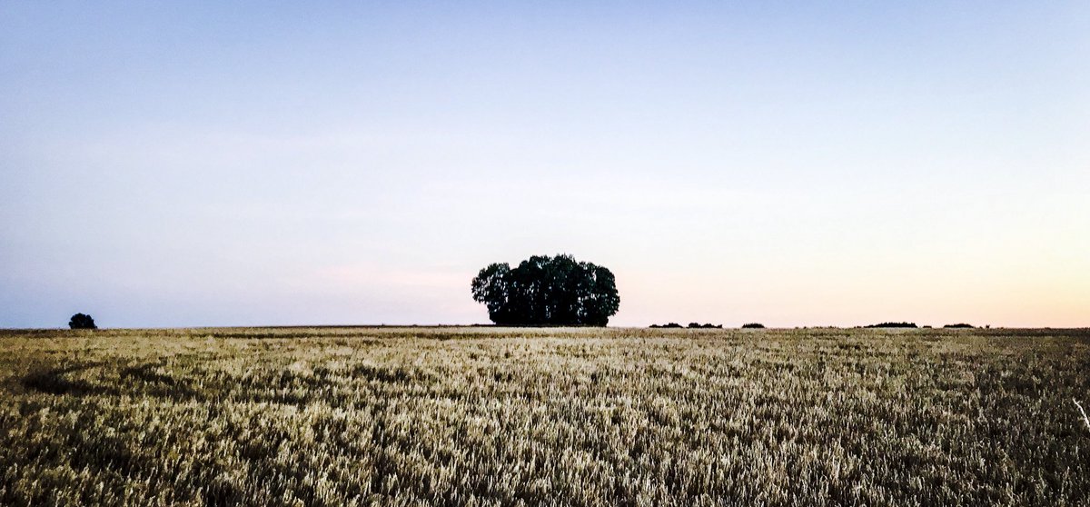 StreetsofBrum's tweet image. Not normally one for #landscapephotography but beautiful colours at sunset last night 

#landscape #photography #shotoniphone #shotoniphone7 #iphone #bourtononthewater #gloucestershire #igersgloucestershire
