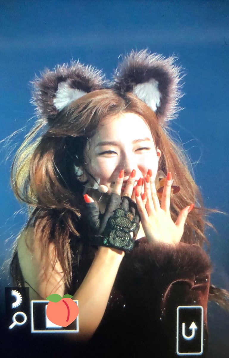 BEAR SEULGI - Celebrity Photos & Videos - OneHallyu