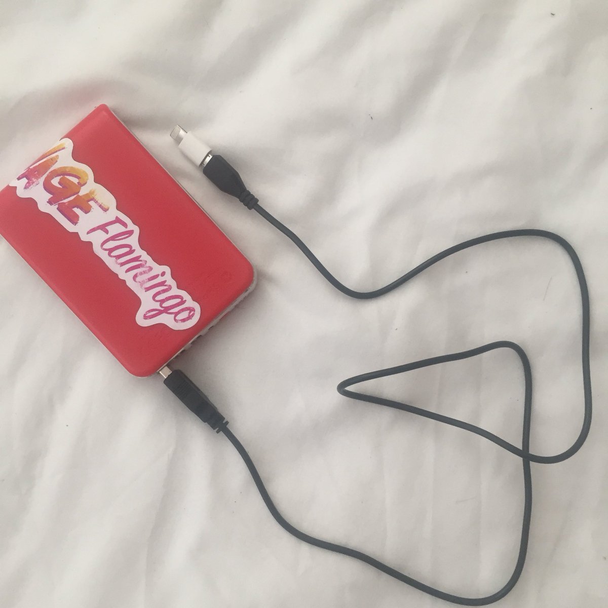 lbakes's tweet photo. A guy in the horrendous queue outside Brighton Station last night kindly lent me his charger and then I lost him. It has a @flamingo_savage sticker on it? Happy to post it back if I can find him! #BrightonPride https://t.co/oxy6KOmiCu