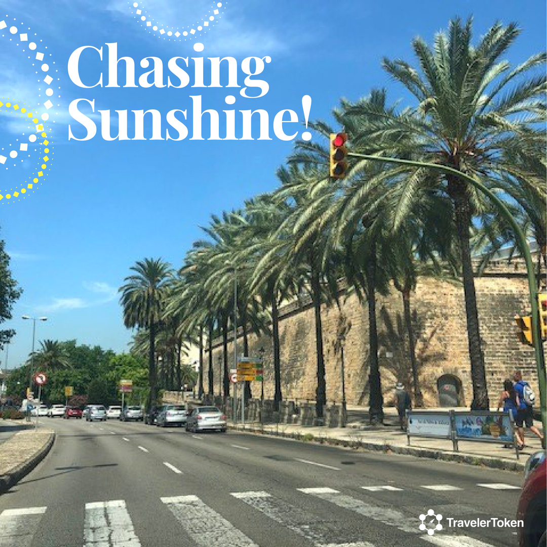 TravelerToken's tweet photo. SUNNY SUNDAYS 💙🌞enjoy your sunday! #happysunday #sundayfunday #goodvibes #goodtimes #palma #tourism #travel #explore #traveler #tlt #spendlesstravelmore #palms #street #city #sonntag #crypto #blockchain #technology https://t.co/wHs7RePJpZ