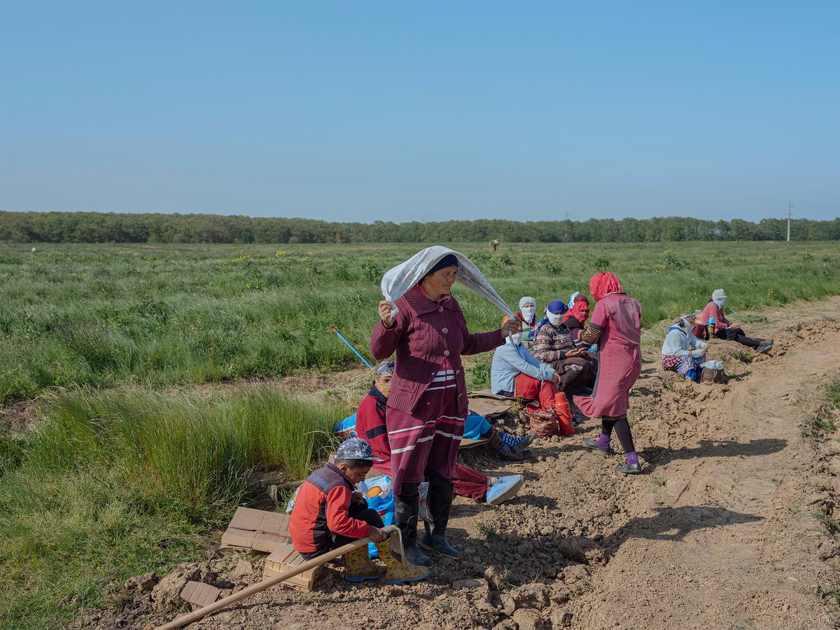 PacificStand's tweet photo. In collaboration with @pulitzercenter we sent photographers from @MagnumPhotos into six different countries where indigenous land rights have been threatened. The custom microsite goes live this August, sign-up for updates. (Photo: @eminozmen)
https://t.co/fGxtgBRH5M https://t.co/rnYG0zSNoo