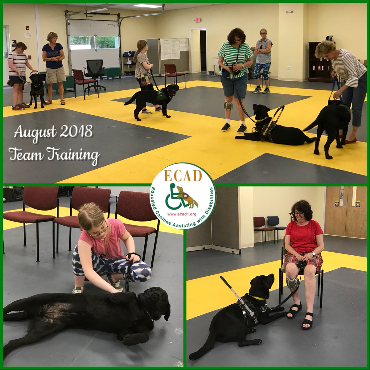ECADServiceDogs's tweet photo. #ECAD's 2018 August Team Training is well on its way. It all starts with learning to work as a team and building a relationship with the dogs. Three more people are going to gain greater independence thanks to YOU! #ECADTeamTraining #ECADServiceDogs https://t.co/ZrdR9GPWgR