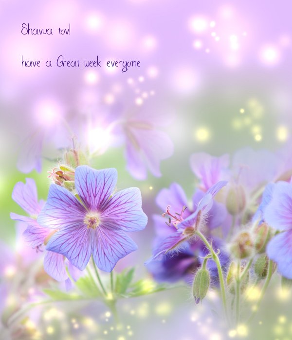 Heather7Peace's tweet image. 🌸🍃🌸🍃Shavua tov dear peeps #BeautifulWeekAhead🍃🌸🍃🌸