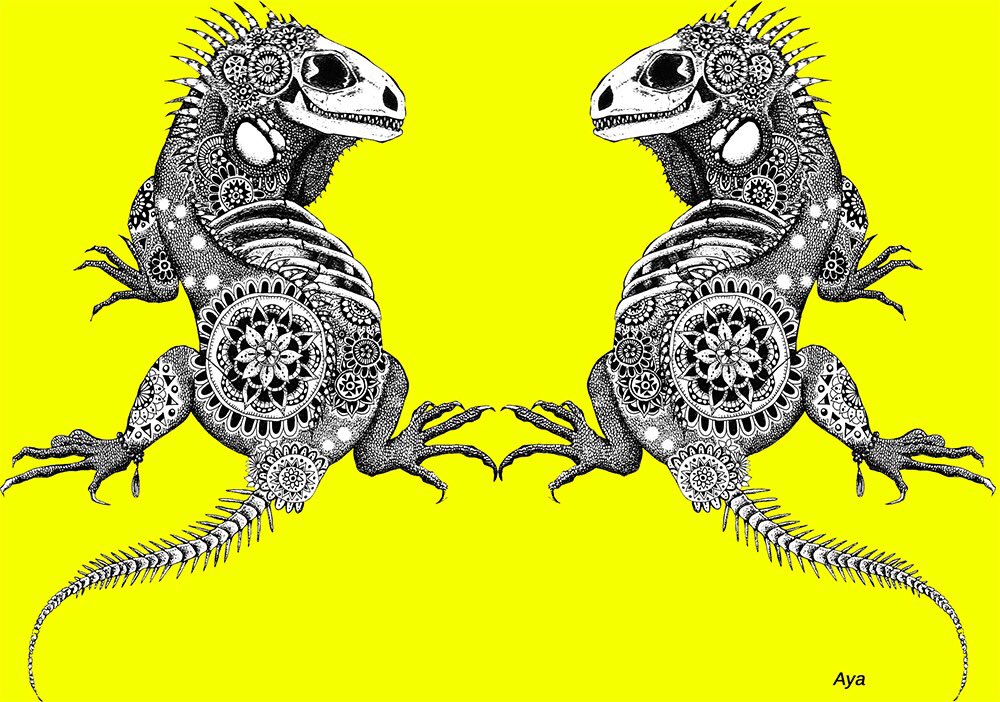 𝔸𝕐𝔸 アヤ 爬虫類 モノクロとビビットカラーの組み合わせが好きなのはヒグチユウコさんの絵を見て爆発した過去があるからだろうなぁ イラスト 爬虫類 ワニ イグアナ