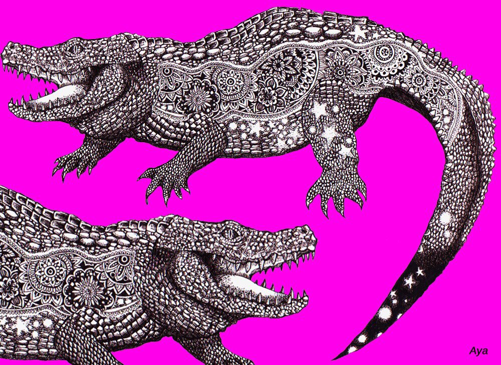 𝔸𝕐𝔸 アヤ 爬虫類 モノクロとビビットカラーの組み合わせが好きなのはヒグチユウコさんの絵を見て爆発した過去があるからだろうなぁ イラスト 爬虫類 ワニ イグアナ