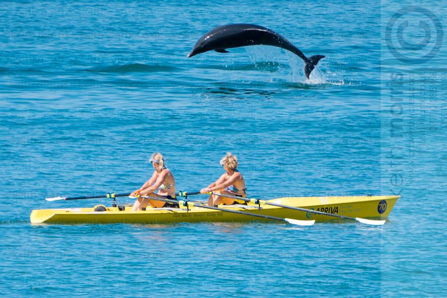 Sometimes you just get a #luckbreak .
A dolphin leaps out of the sea near two rowers in #aberystwyth today
©<a href="/KeithMorrisAber/">keith morris</a> for <a href="/AlamyNews/">Alamy News</a>