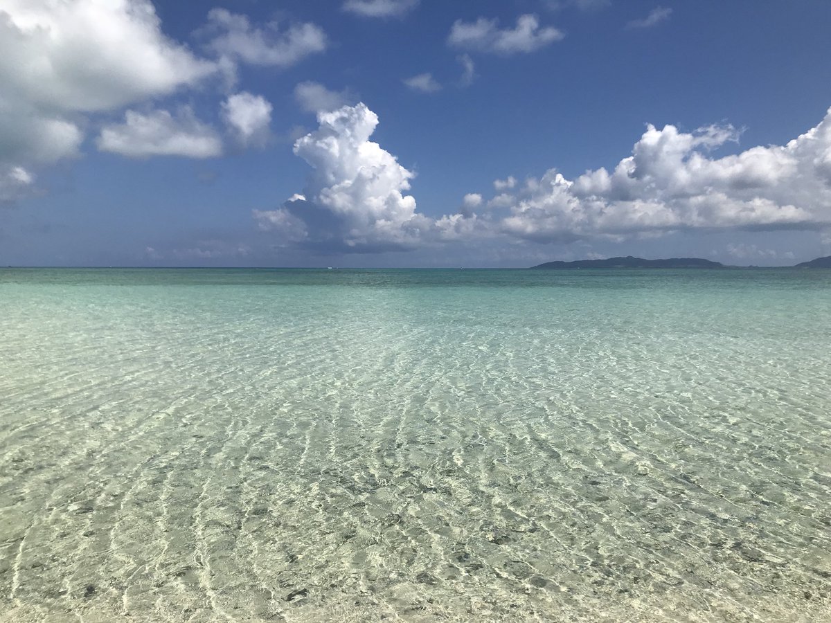 next_fukugyo's tweet photo. 半端ない #竹富島 https://t.co/l4tLwSAnlu