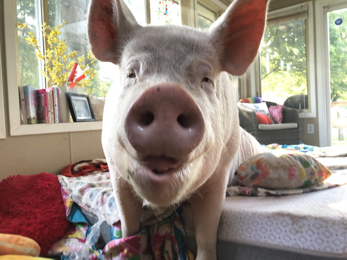 I was gonna sleep-in again today, but dad made waffles so I had to make some tough decisions.