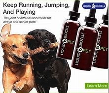BuddyPaddles's tweet photo. Buddy Here! Thanks to my Buddy Paddle Partner today Modere and Biocell Pet. Day 8 I am arriving at @Kempenfest 5p.m. Canoe Dock by South Shore Centre and then on stage with #BareBackRiders. Please visit by Buddy Tent and donate to COPE Service Dogs, under @gloablpetfoods https://t.co/SkDCK4ub2E