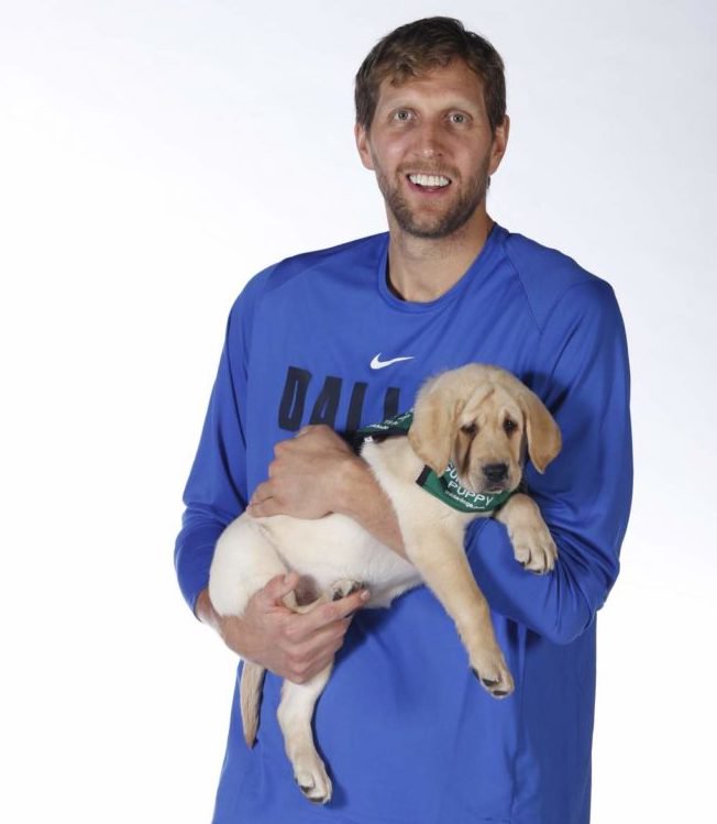 dirk nowitzki dog jersey
