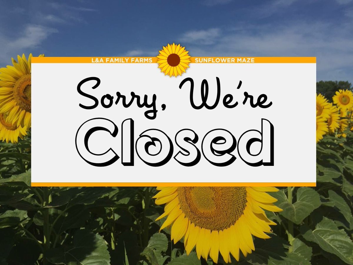 L A Family Farms On Twitter Reminder The Sunflowermaze And Farm Store Are Closed Today Sunday August 5th The Second Section Is Wilting In The Heat But We Are Hoping Our Third Section