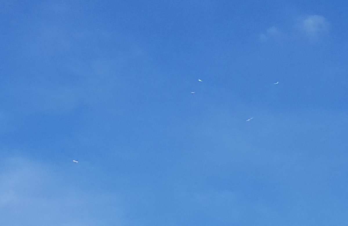 Op dit moment 7 #zweefviegtuigen zichtbaar boven de camping. Leuk om te zien.