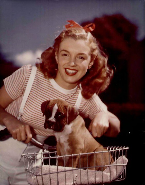 mr_monroe's tweet photo. "Hold a good thought for me"-@MarilynMonroe π #ForeverMarilyn #MarilynMonroe #MrMonroe #NormaJeane #Marilynette #Marilynettes #MsMonroe #MM #RIPMarilyn https://t.co/rPaBTaWX0a