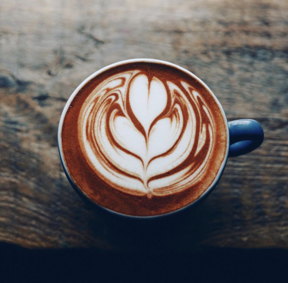 TGPenarth's tweet photo. Ready for tomorrow?? No?? Well let us help you with that! We’re opening Monday at 6.45 am! https://t.co/rznnciDh8V