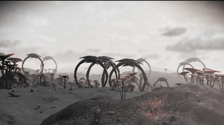 space_hippyy's tweet photo. I love the look and feel of this planet. So much fun just to explore it #NoMansSky #NoMansSkyNEXT https://t.co/rZmvM6lMzf