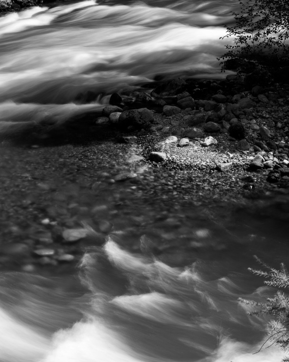 patykus's tweet photo. At the riverbend, where 38 degrees isn't so bad...
.
.
#justgoshoot #the100dayproject #monoart #bnwnature #czarnobiałe #bvsquad #hpow #naturerepublic #krajobraz #creativehappylife #bike #weekend https://t.co/4ETyjIWVBn