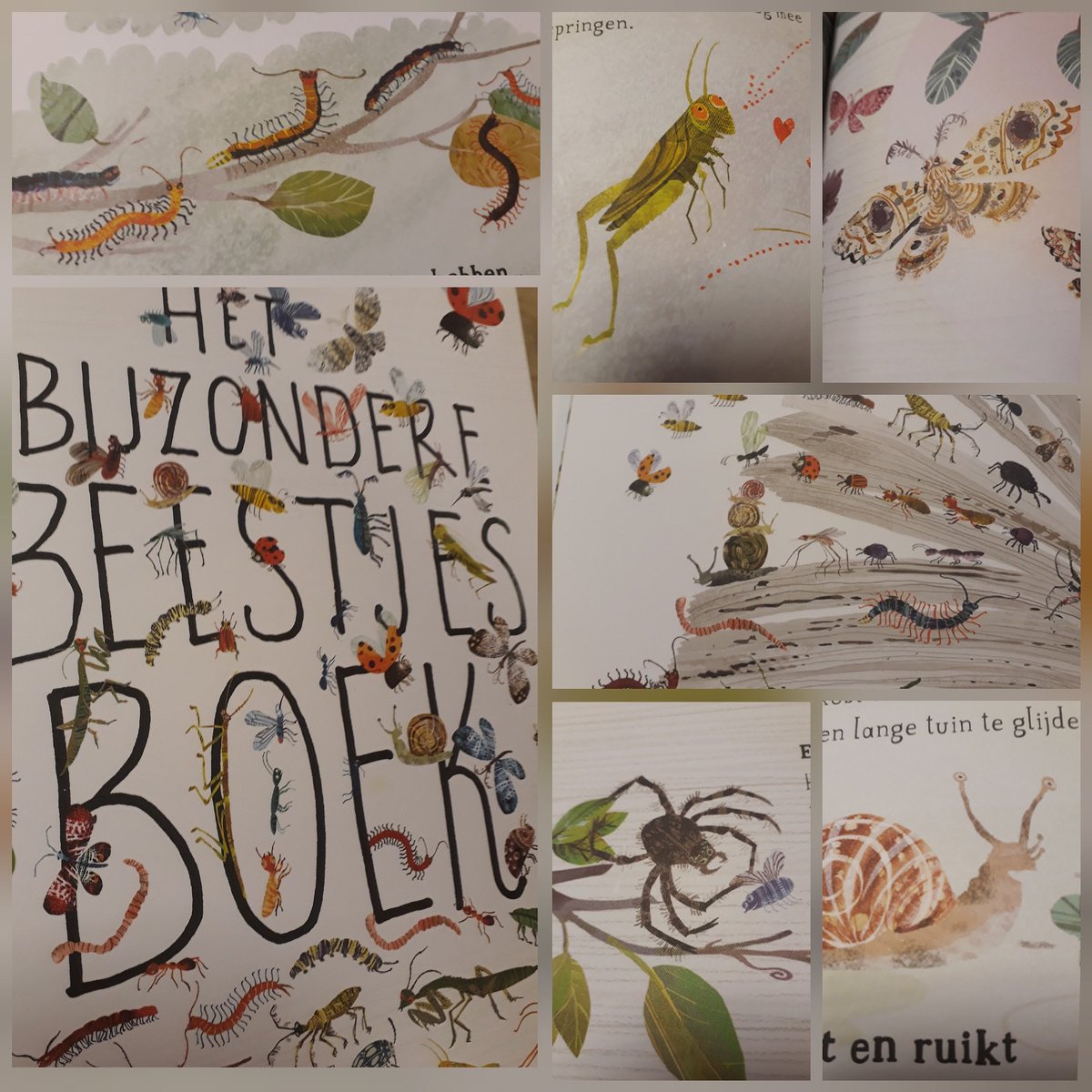 Hoe langzaam gaat een slak? 
Zijn beestjes bang in het donker? 
Waarom lopen mieren in een rijtje?
Lees het allemaal - en nog veel meer - in dit bijzondere beestjesboek. 
Ontmoet allerlei vliegende, stekende en wriemelende beestjes van over de hele wereld.