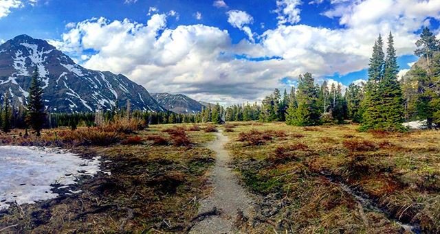 Biotech_Guru's tweet photo. Reposting @bradbrandon: - via @Crowdfire 
⛰Take a Hike... Literally! 😂 Breathtaking views @ Glacier National Park!! 🏔 #PraiseJESUS 🙌
.
.
.
.
#glacier #nationalpark #beautifulview #nature #beauty #hike #hiking #trail #mountain #snow #tree #evergreen #clouds #dirt #grass #sun https://t.co/59m1ETF7ZR