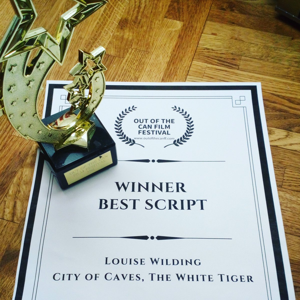 louwilding's tweet photo. Guys guys! Tonight I was lucky enough to #win #best #script at @outofthecan8 thanks for this #Award https://t.co/FAz02UvA3s