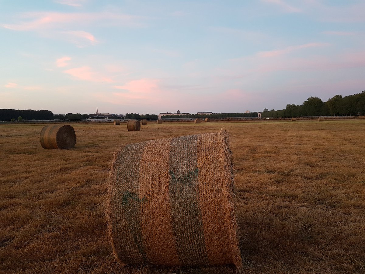 CaenOfficiel's tweet photo. #Caen en mode #Selfoin ce week-end 🌾😍 La récolte de foin a été effectuée à la #Prairie, merci aux agriculteurs 👍👨🌾🚜 https://t.co/j0StTmMha5