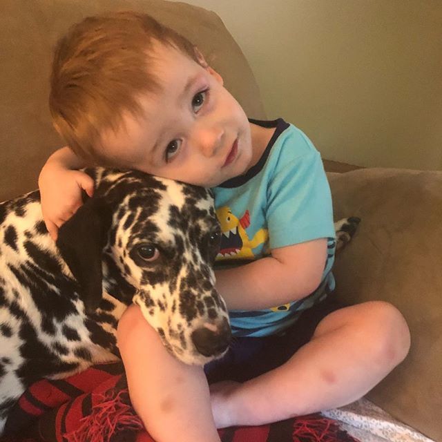 KellyDouglas's tweet image. This boy sure loves this dog.  I think she would like for it to be a little less. #itsjanuary #maddoxtate #instagrand #puppylove ift.tt/2nbXWa5