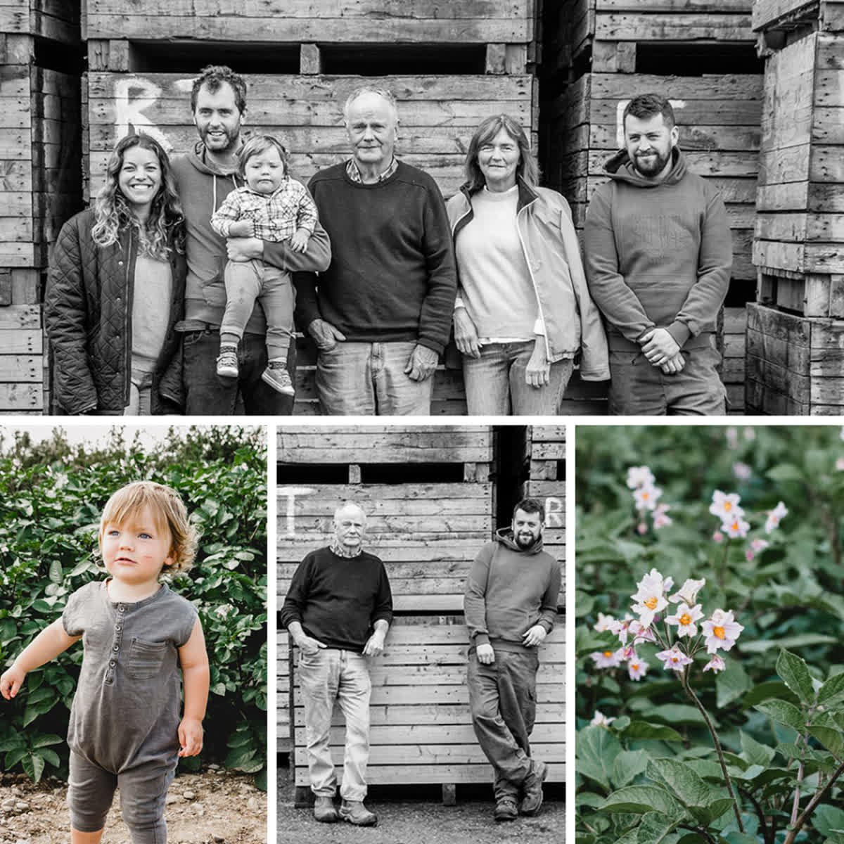 We hope everyone is enjoying their Bank Holiday Weekend!
Thorntons enjoy the simple things in life. When family comes together there is always good food, good quality drink and plenty of laughter. We wish the same for you!

#family #Thorntonsdistillery #vodka #Summer #familyt