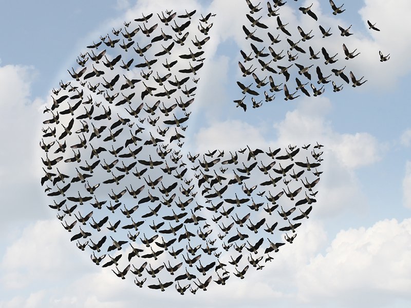awscloud's tweet photo. Migrating to the cloud? This whitepaper from IDC found that cloud adoption lets organizations be more competitive, increase customer satisfaction, innovate faster &amp; achieve greater productivity. https://t.co/gTr47Y2uUG https://t.co/7xaRTNGxqW