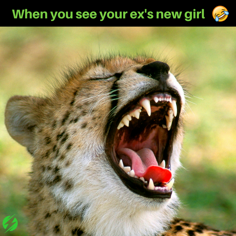 StoryTrender's tweet image. What a downgrade 👍😂

#exproblems