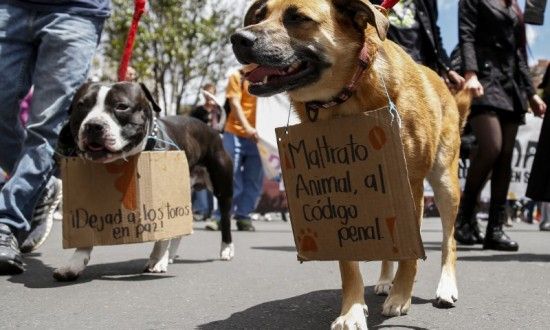 Ecogranjero tweet picture