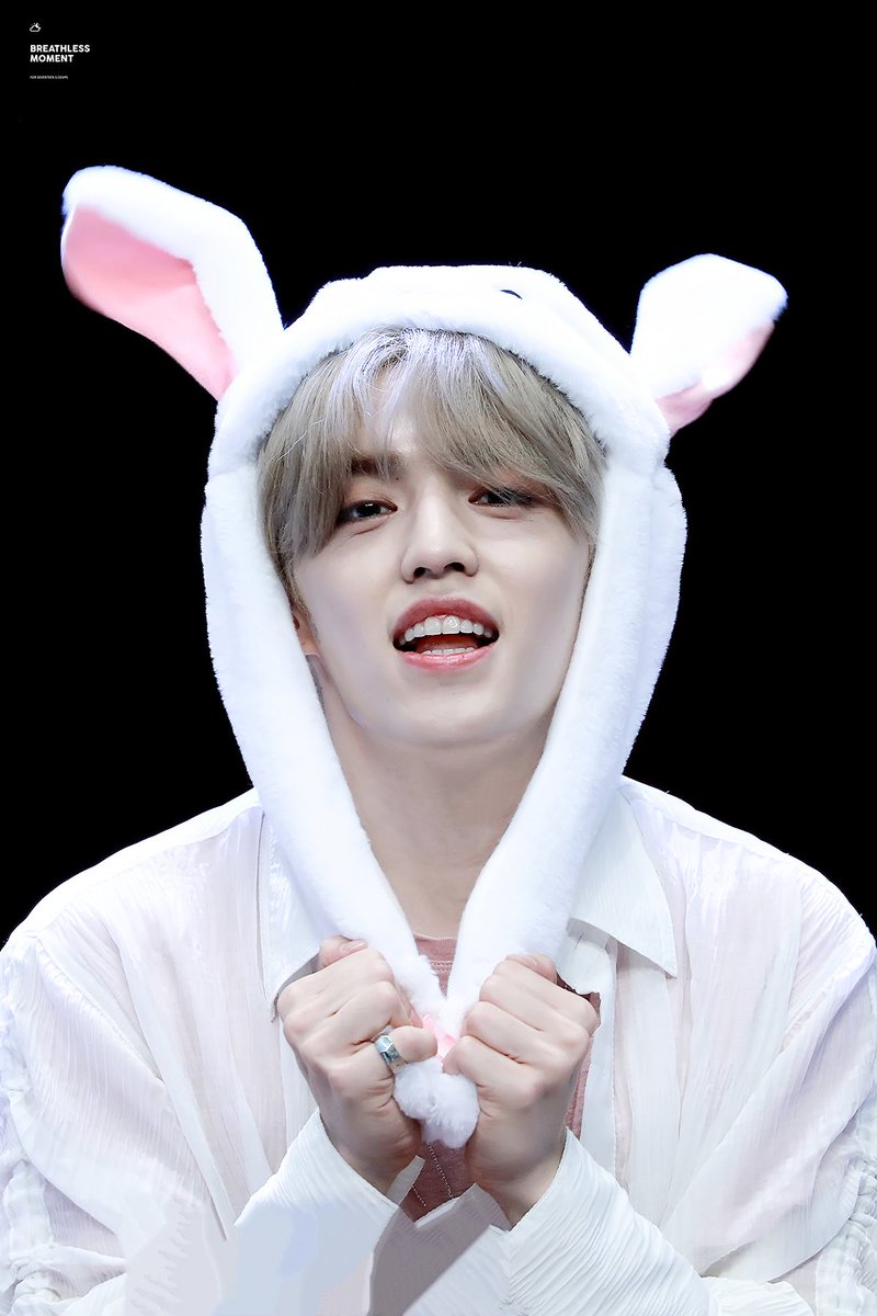 S_COUPS_SAVE's tweet photo. 180720 신나라 팬싸 
토끼쿱 귀여워서 어쩌나 🤭💘
#세븐틴 #에스쿱스 #SEVENTEEN #SCOUPS 
출처 ( @1995scoups 님 💕) https://t.co/87p11XofMt