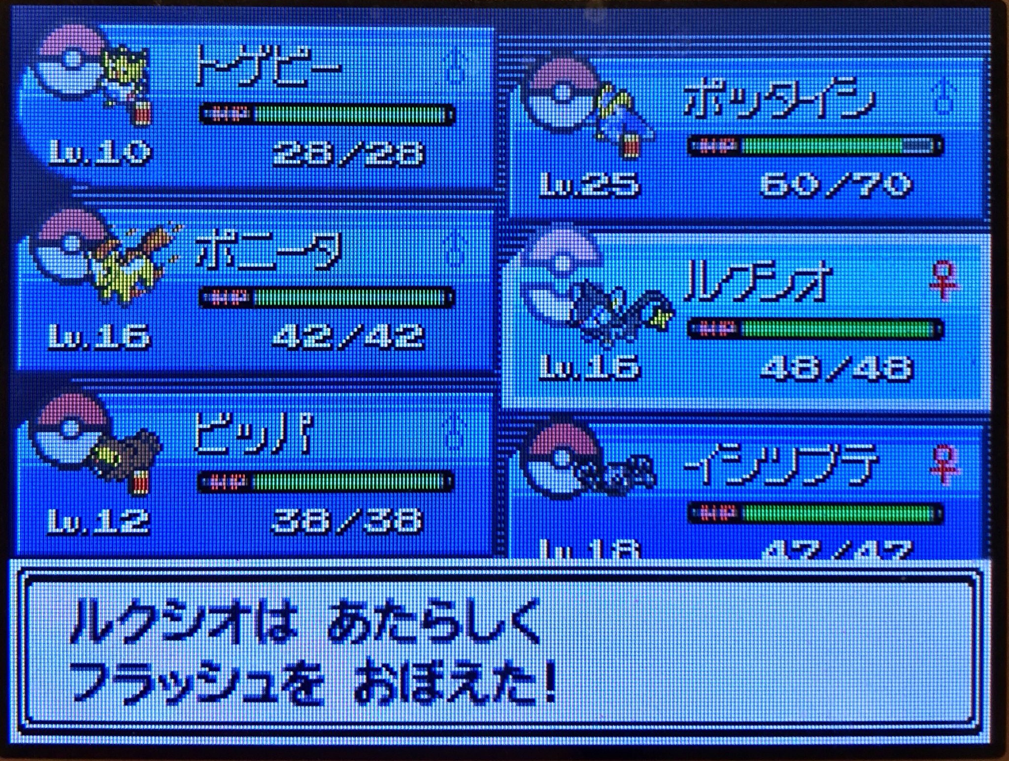 ট ইট র スラヨシ アンテ ポケダン空ネタバレしないでね ギャラドスに進化 7種類 まずはピカチュウ 銀 アルファサファイア プラチナ T Co Pvihny68vj ট ইট র