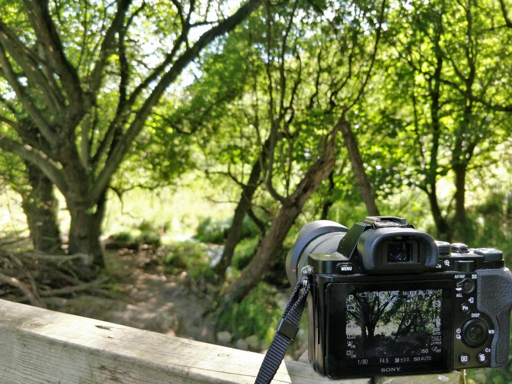 Summer walks in the local countryside, anyone guess the area? (complete long shot I know)