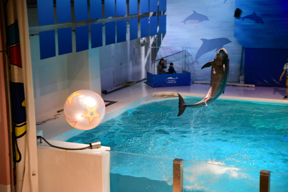 すん 日本一周 完 浅虫水族館 青森県の浅虫温泉の近くにある水族館で今年で開園35周年という節目でございました 館内はとても綺麗で触れ合いコーナーもあったので お子さんも大喜び間違いなし イルカショーも楽しめました 日本一周 青森県 浅虫 すん 日本一周 完 浅虫水族館 青森県の浅虫温泉の近くにある水族館で今年で開園35周年という節目でございました 館内はとても綺麗で触れ合いコーナーもあったので お子さんも大喜び間違いなし イルカショーも楽しめました 日本一周 青森県 浅虫