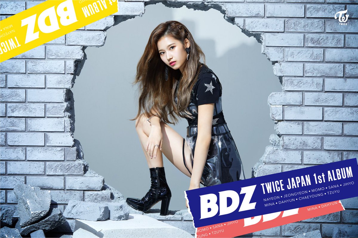 Twicejapan1stalbum Twicejapan1stalbum