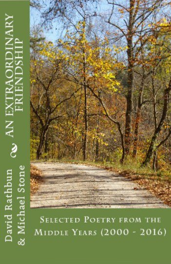 book book A leisurely introduction to