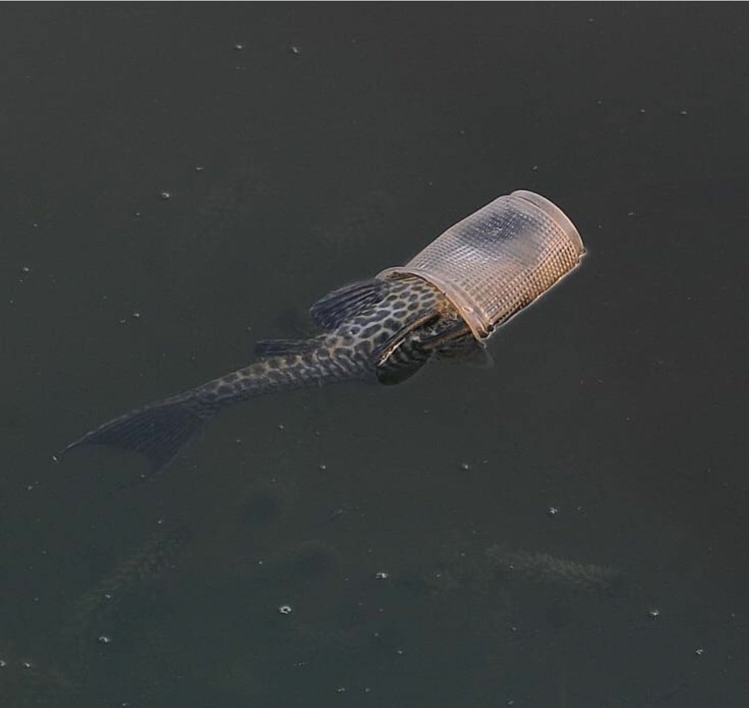 Dj2LDyuU0AAtMqz.jpg:large