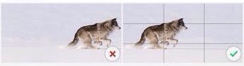 yksirinkan's tweet photo. Kompozisyonun içinde hareket halinde bir obje varsa, gittiği yöne doğru biraz daha fazla boşluk bırakılmalıdır. Böylece izleyen objenin hareket anında fotoğraflandığını daha hızlı kavrayacektır. #gençfotoğrafçıyanotlar #fotoğrafbilgisi #photoinfo https://t.co/t8AcyFHfyG