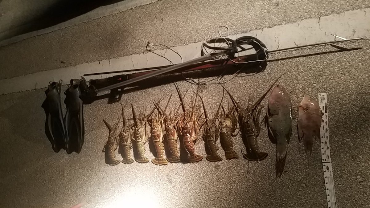 Man accused of catching lobsters out of season in Florida Keys bit.ly/2LUyULE https://t.co/7Z6siWglX2