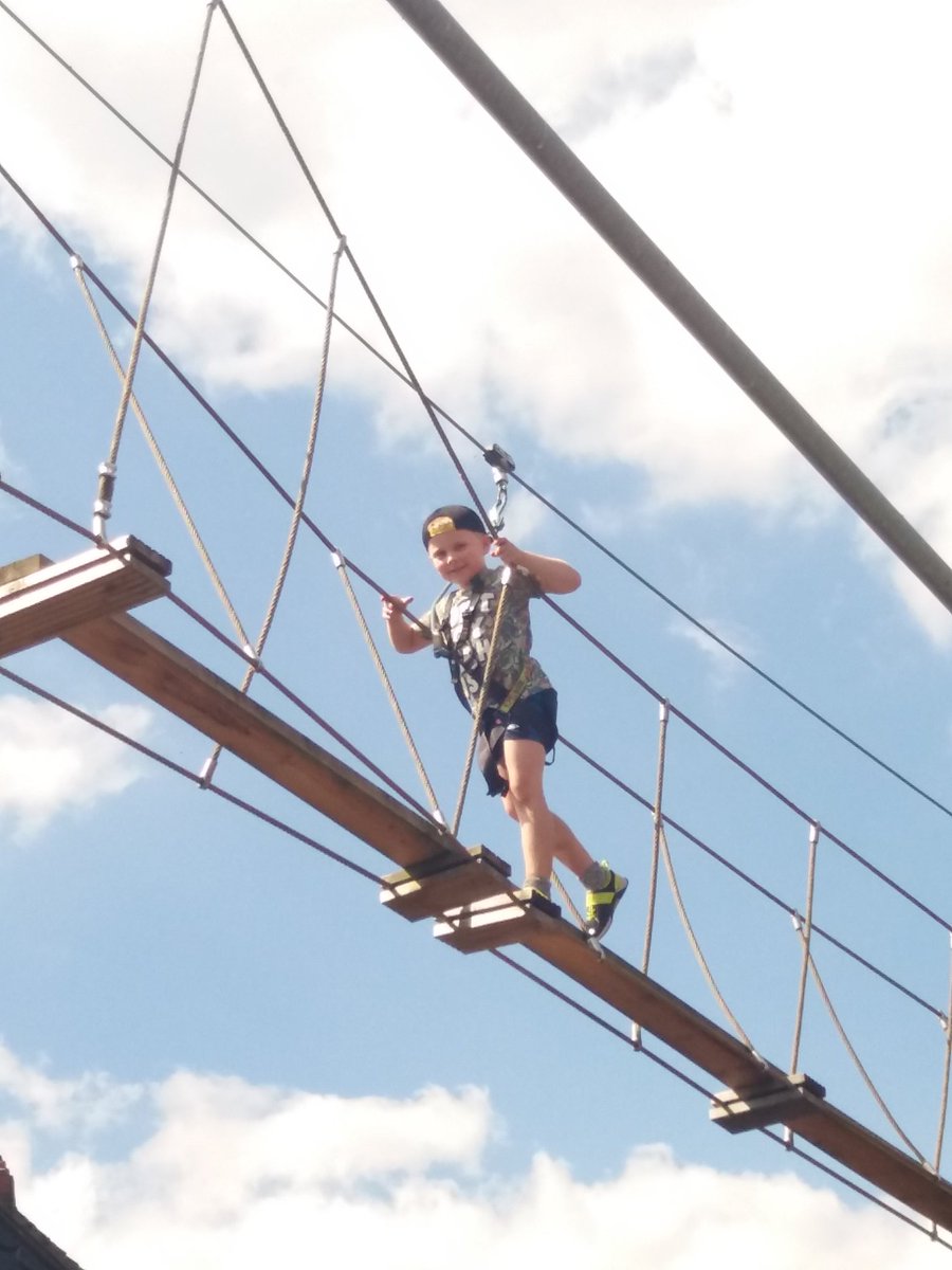 HelenVintiner's tweet photo. So proud of this one #nofear #borntoclimb @BristolZooGdns https://t.co/0ooUiT6LrS
