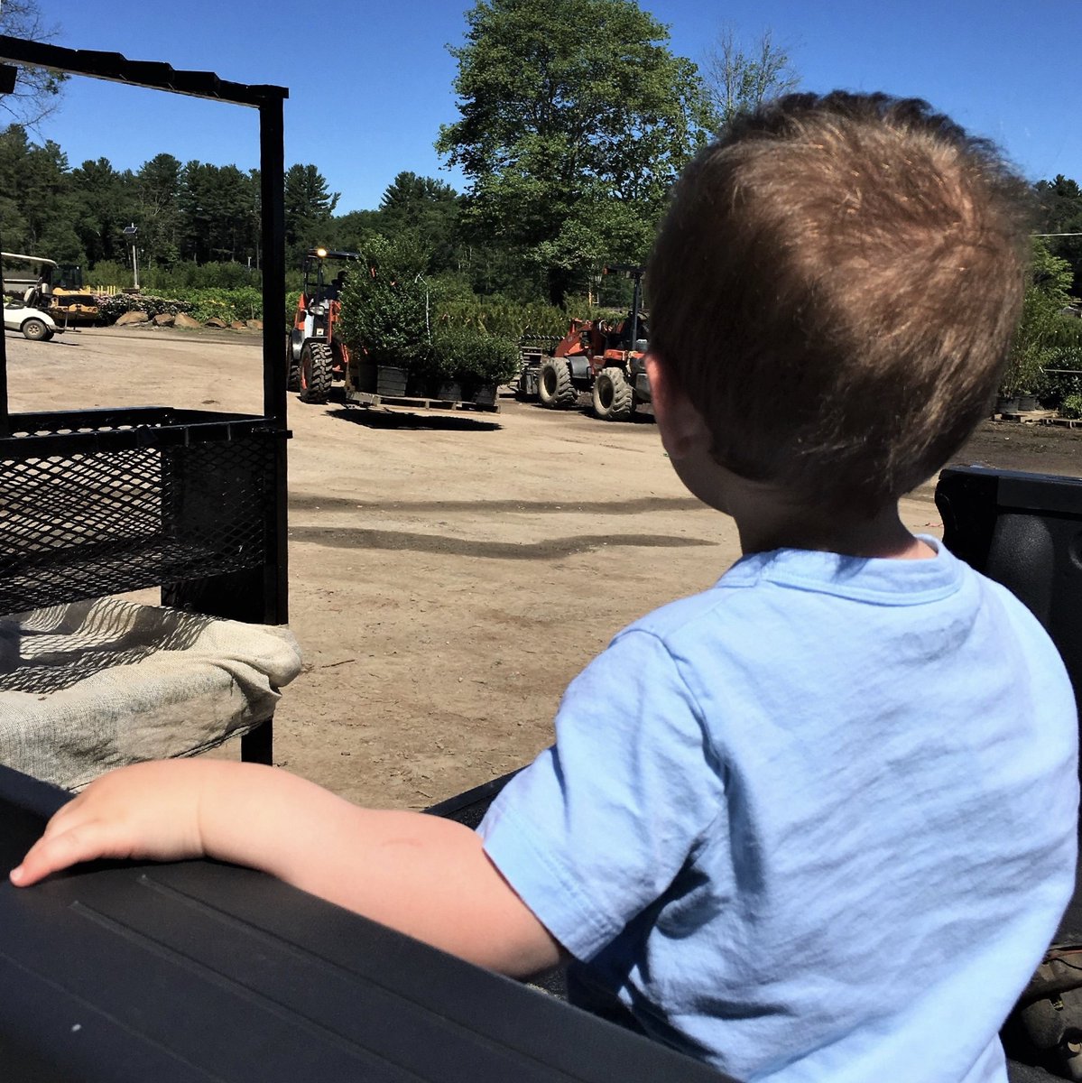 reamdesign's tweet photo. #Curious Lucian at the Nursery.  Spending some #qualitytime with Dad.  Training the #nextgeneration.
.
.
.
#futurelandscapeprofessional #startemyoung #itsintheirblood #reamdesign #cavicchio https://t.co/1O16neCSji