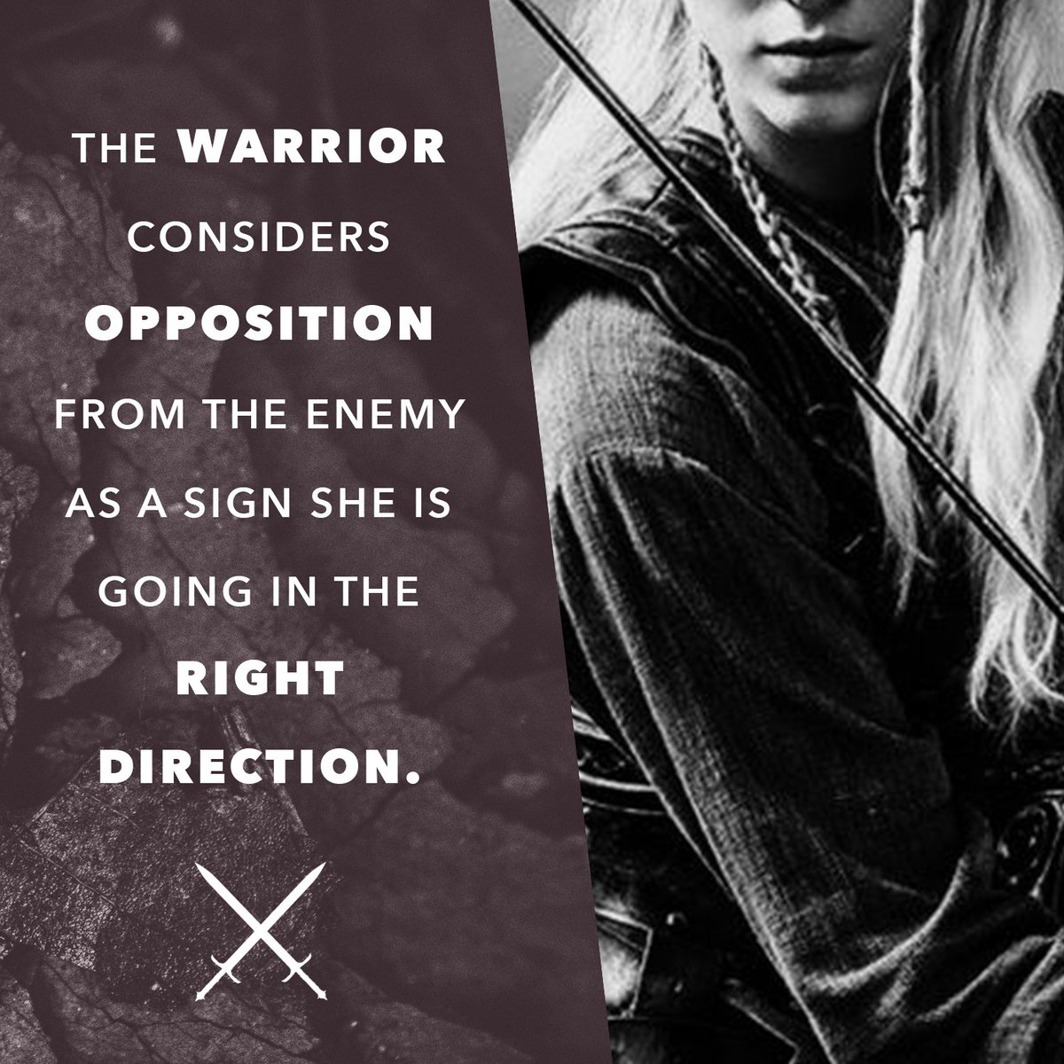 LisaBevere's tweet photo. If you are taking ground against the enemy, don’t be surprised when the arrows are flying your way. EXPECT IT. Brace yourself. Get your brave on. Defend the one on your right and your left. Stay together. Press forward. Keep storming the gates. #GirlsWithSwords #DoBrave https://t.co/XVErY2H1zR