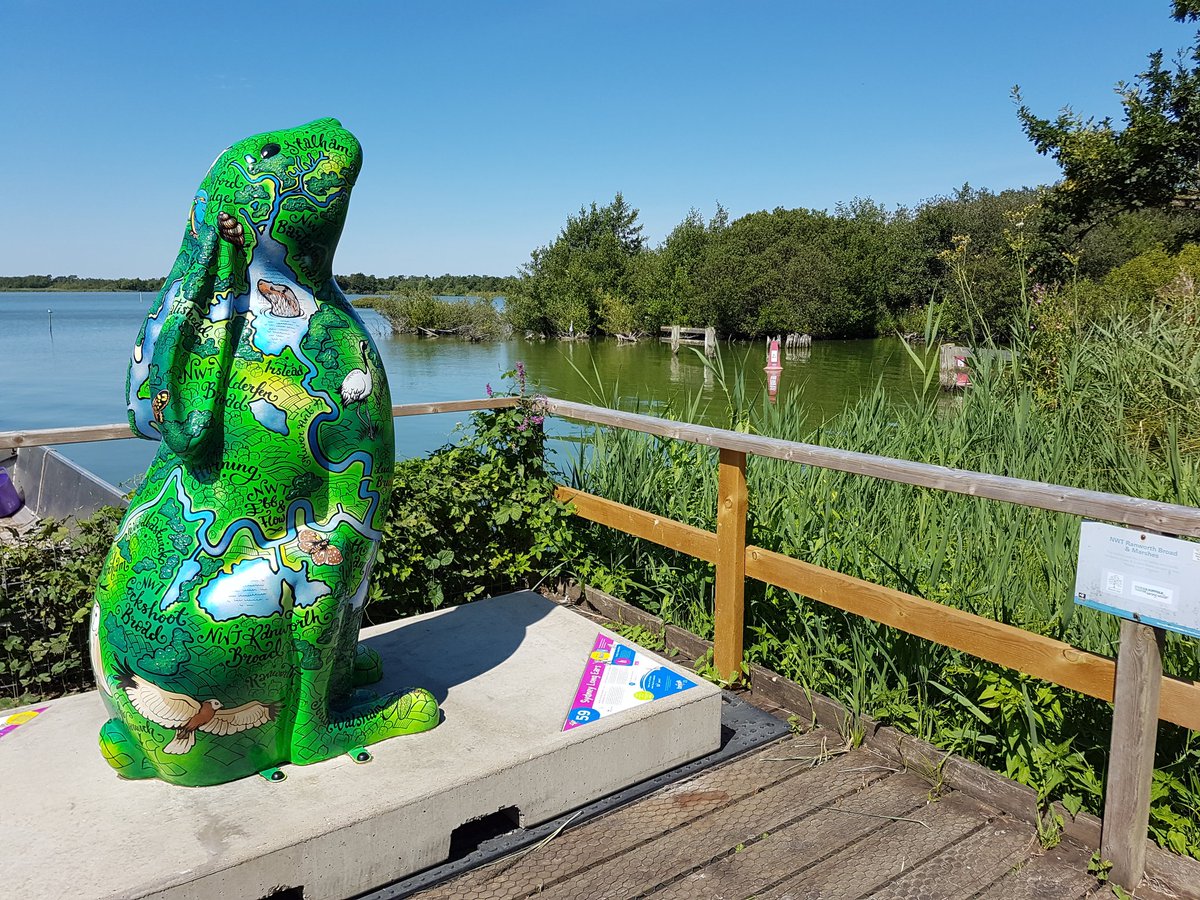 Popped by to see <a href="/SydneyLongEars/">Go Go Sydney Long Ears</a> at Ranworth Broad today. Couldn't have picked a nicer day &amp; had a lovely view of a Heron fishing (can you spot him?) @GoGoHares2018 <a href="/break_charity/">Break</a>
