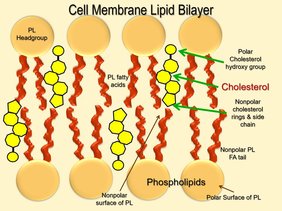 conversion of polymers wastes